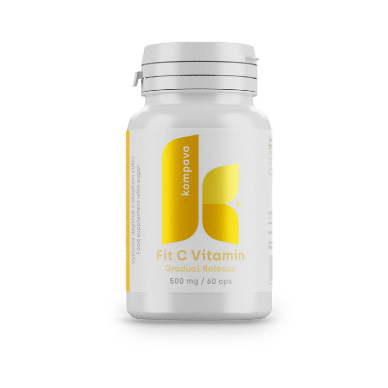 Witamina Fit C/LIME 18/19 174CM