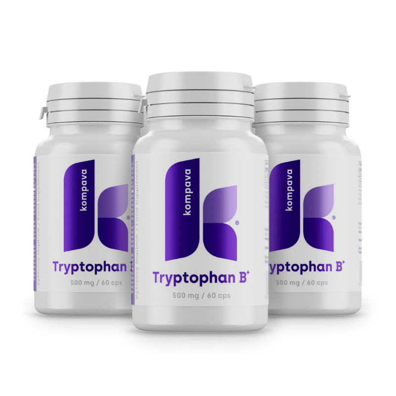 Tryptofan B+/LIME 18/19 174CM