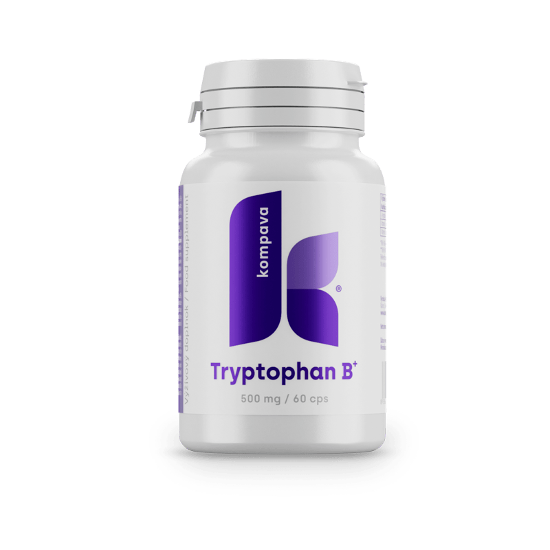 Tryptofan B+/LIME 18/19 174CM